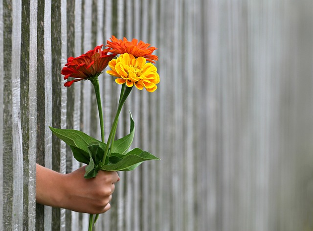 Hand hält Blumen durch Zaun für Ehrenamtliche Mitarbeit; Foto: Pixabay