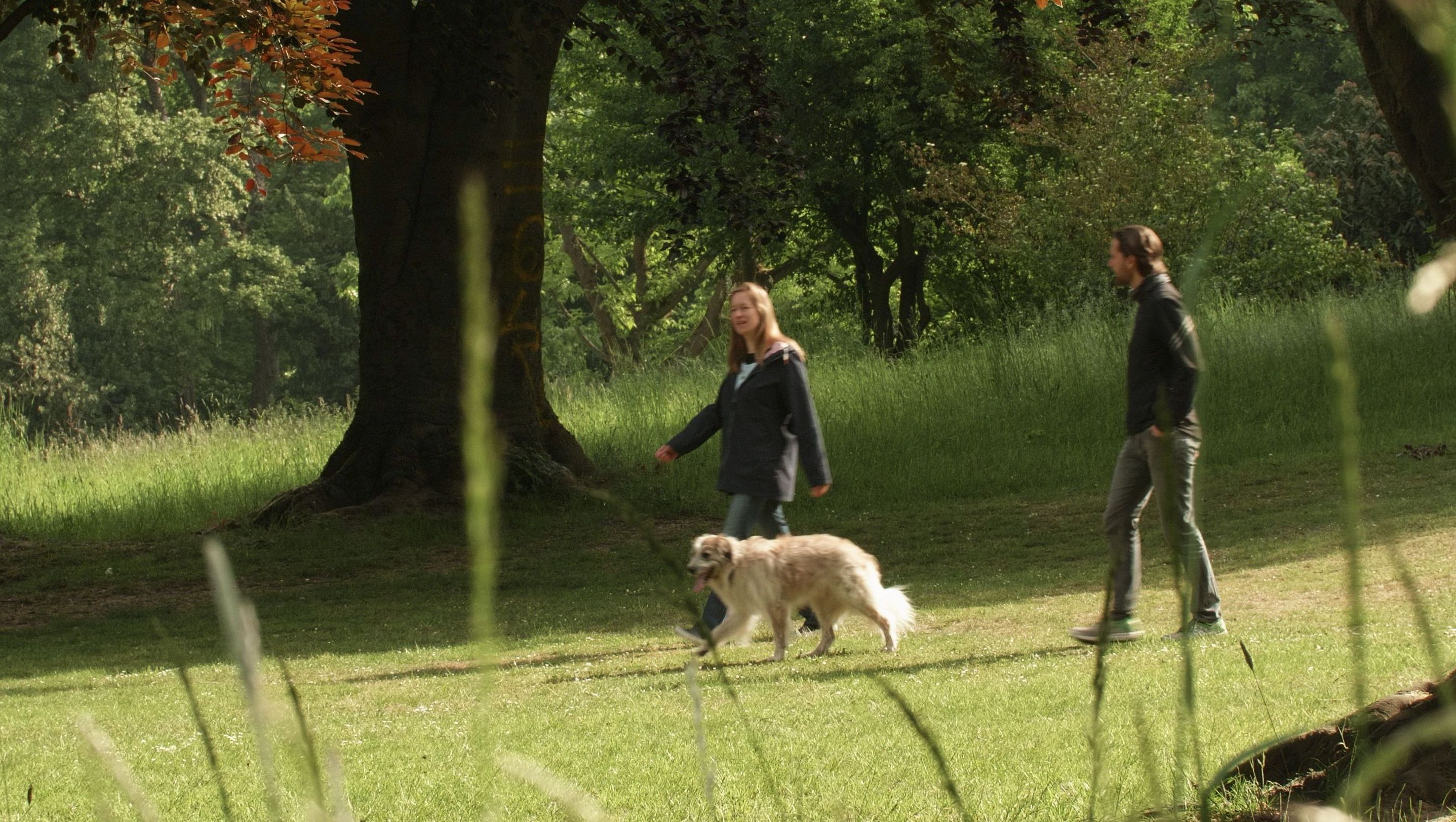 Ein Mann und eine Frau befinden sich auf einem Trauerspaziergang mit Hund