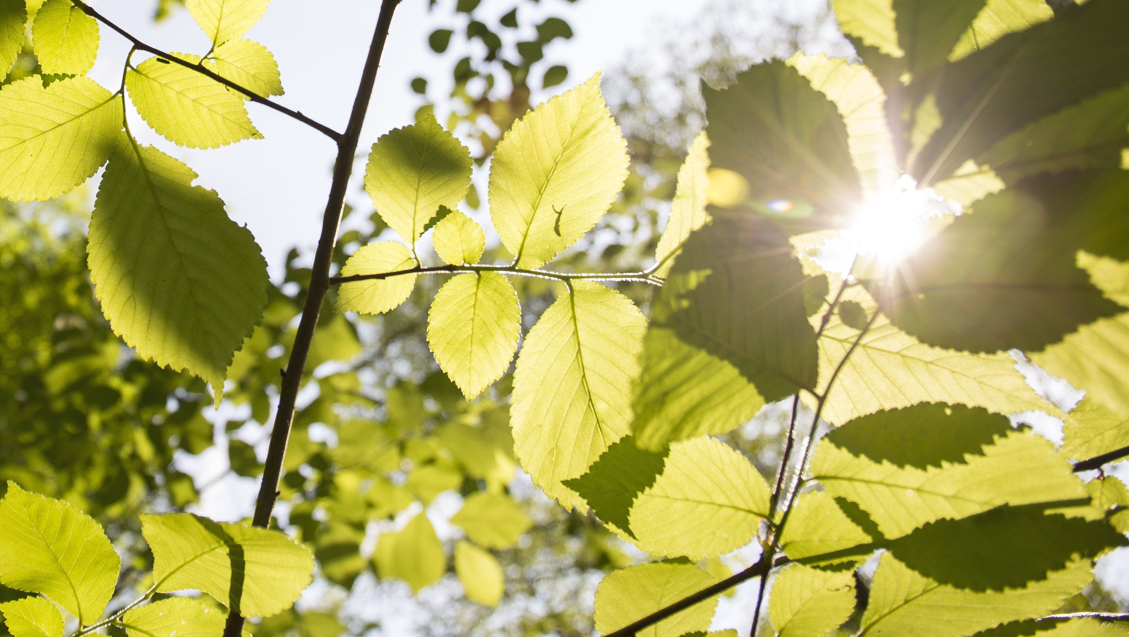 Meditatives; Foto: pixabay